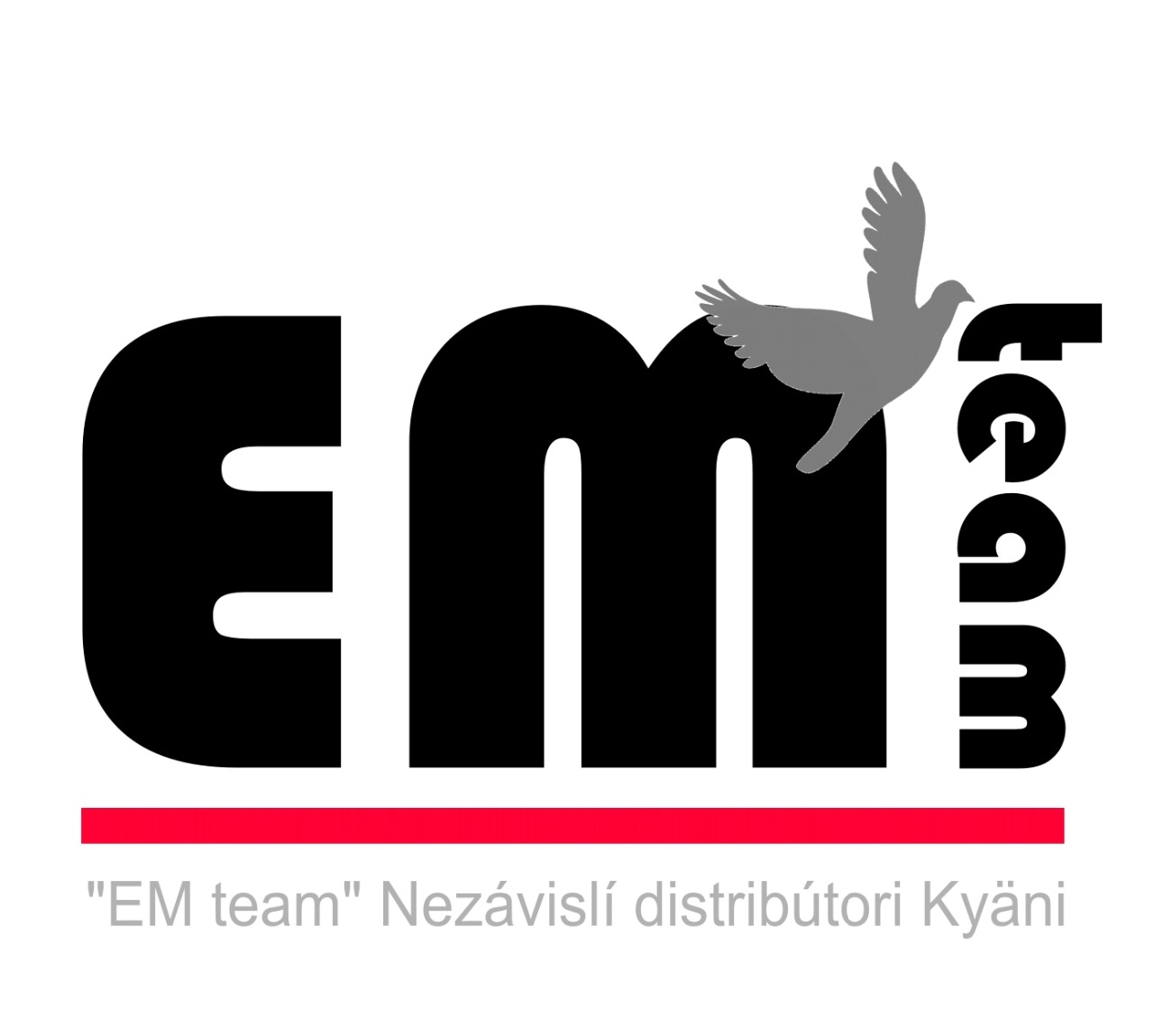 TeamEM